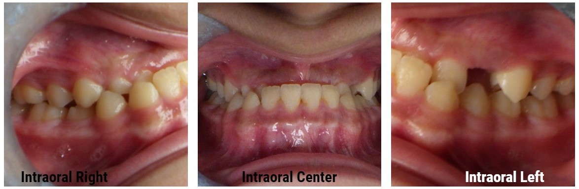 dental care jaimesgiovani1823 1